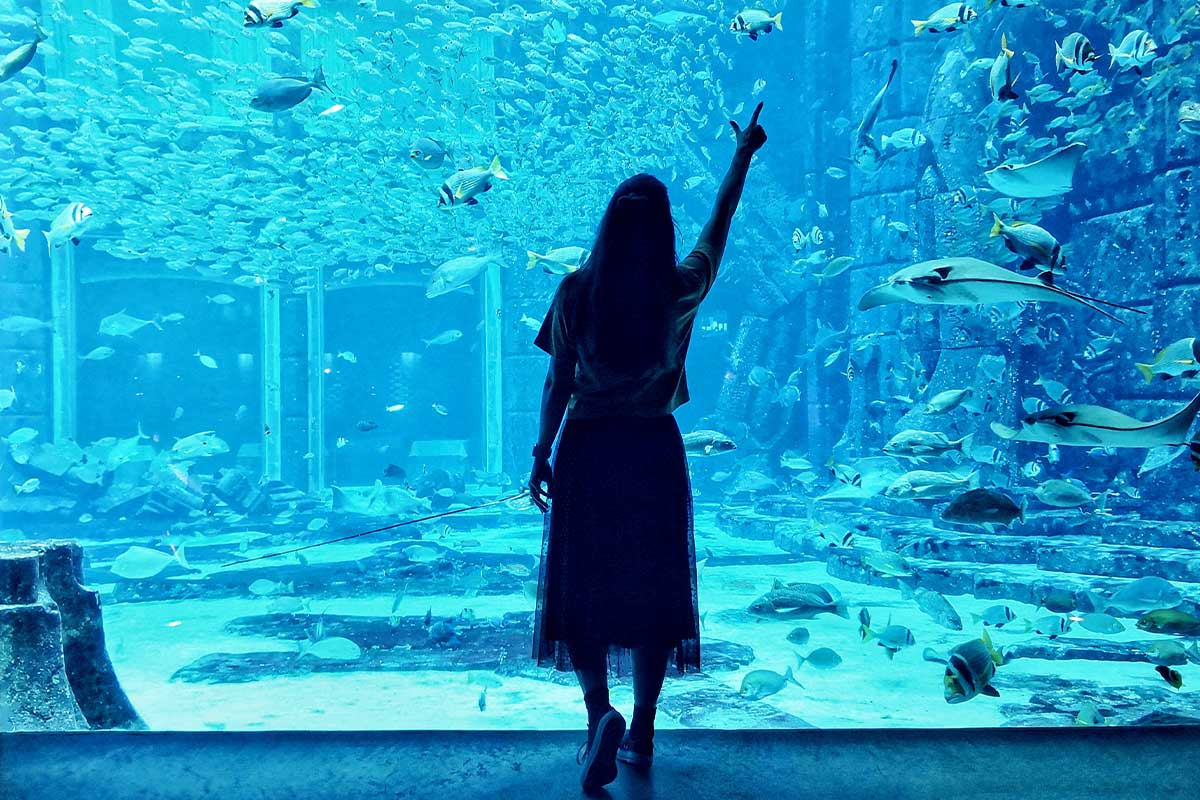 Das fünfte Chakra ist das Halschakra, welches über die Farbsequenz Hellblau aktiviert wird.