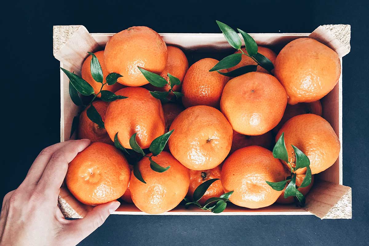 Das Sakralchakra wird dem Element Wasser zugeordnet, da es für den Fluss des Lebens sowie Reinheit und Klarheit steht.