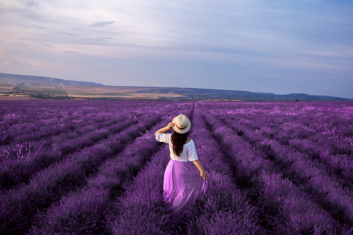 Das siebte und letzte Chakra ist das Kronenchakra, welches über die Farben Violett, Weiß und Gold aktiviert wird.