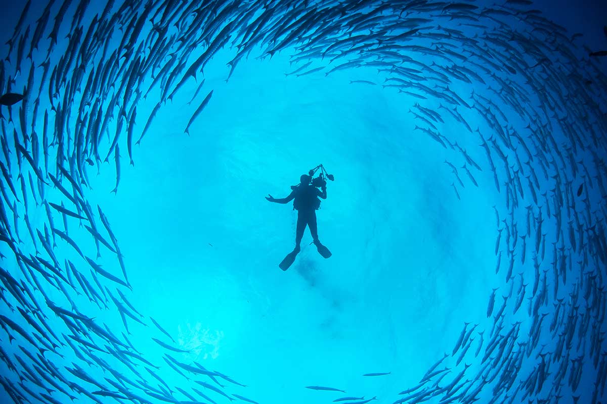 Du kannst dein Unterbewusstsein f&uuml;r deinen Erfolg nutzen, wenn du lernst, es zu verstehen und zu beeinflussen.