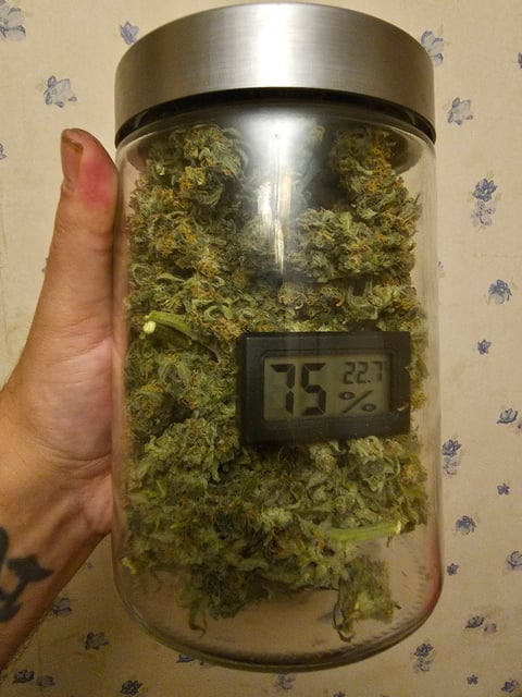 blue cheese 