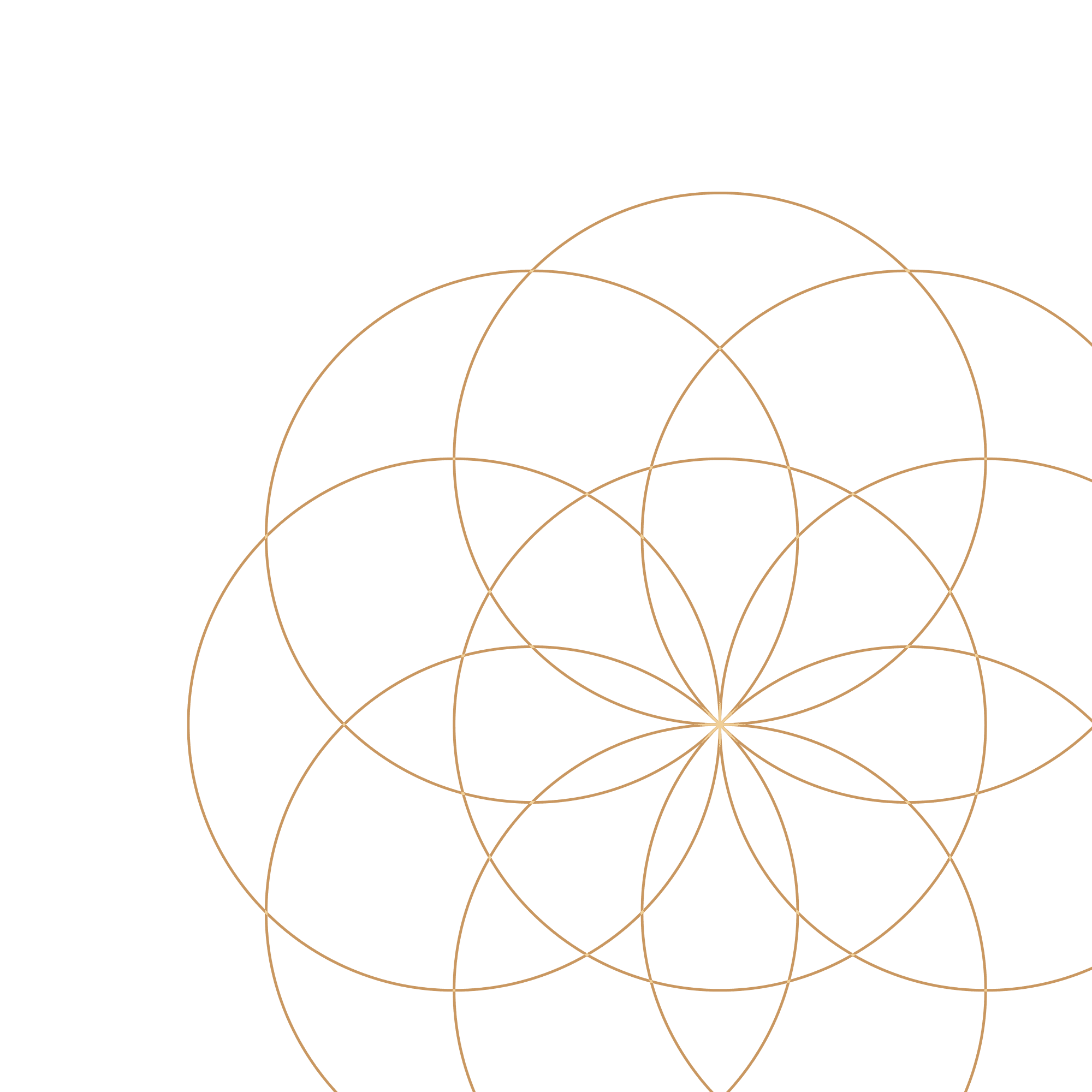 flower pattern