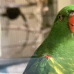 Profile photo of Jose