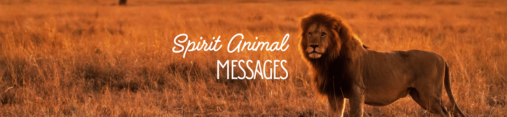 Spirit Animal Messages