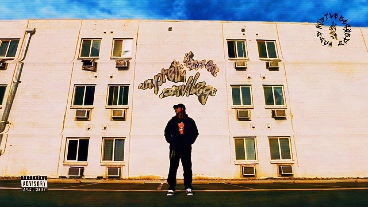 UN PRETTY PRIVILEGE   VISUALIZER