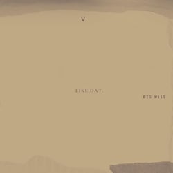 LIKE DAT (INSTSURMENTAL Version)