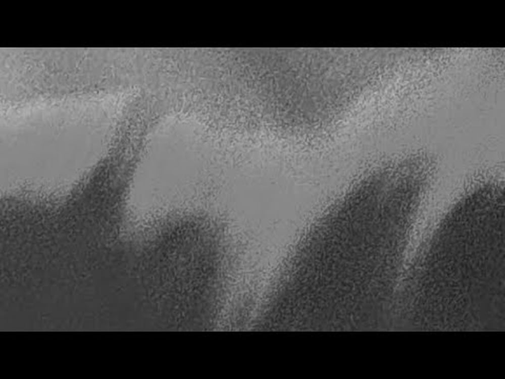 xavier euphory - si lourd