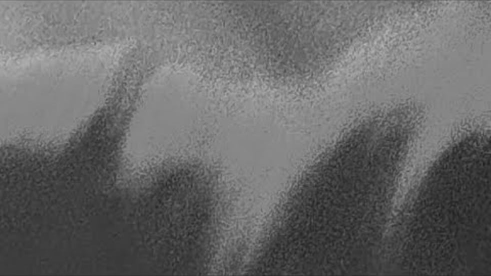 xavier euphory - si lourd