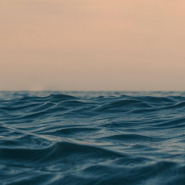 Everwake image