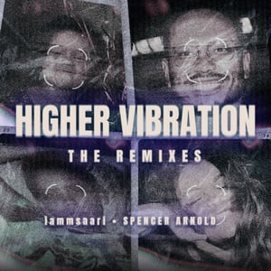 Higher Vibration - the Remixes