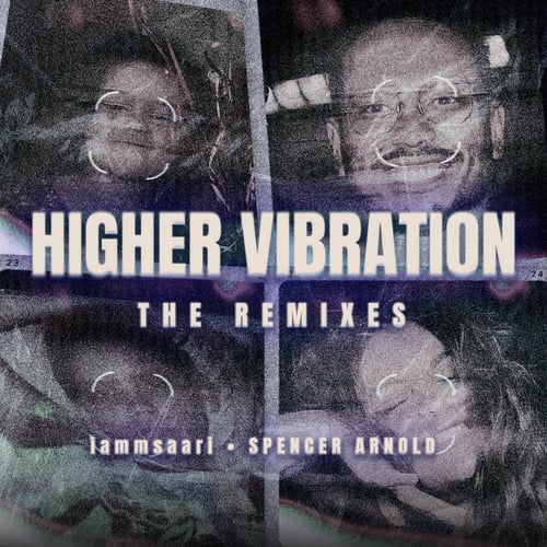 Higher Vibration - the Remixes