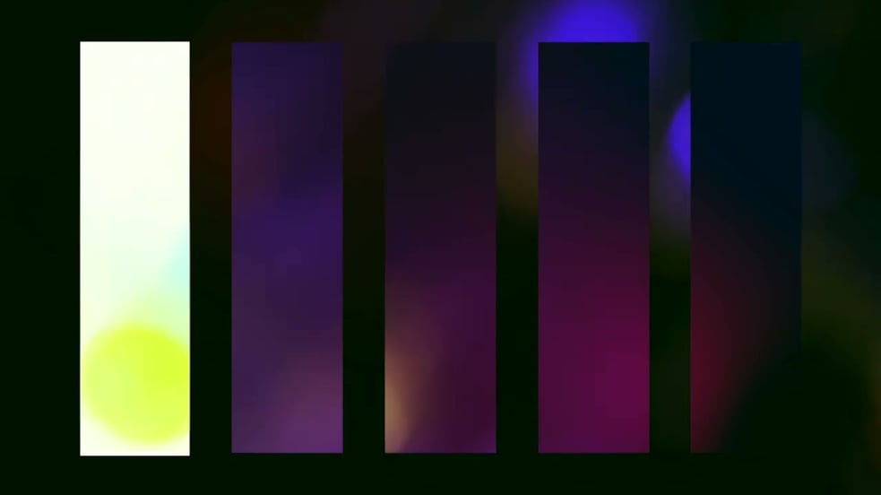 Dear Gravity ●● Palisade (Experience III)