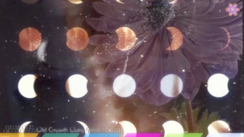 Grander Gestures & Tsodor - Old Growth Outro (Official Visualiser)