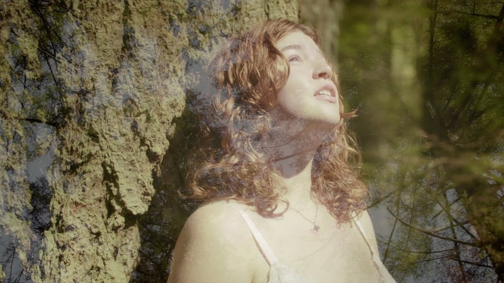 mossy mountains - evie from earth (official music video)