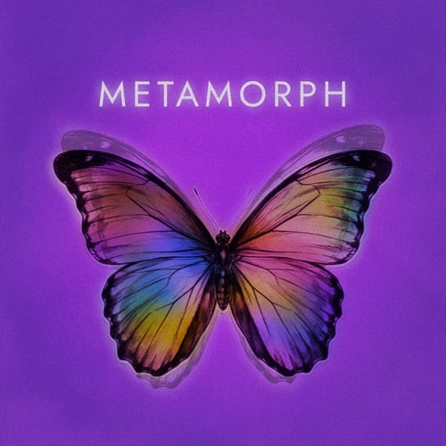 METAMORPH - Digital