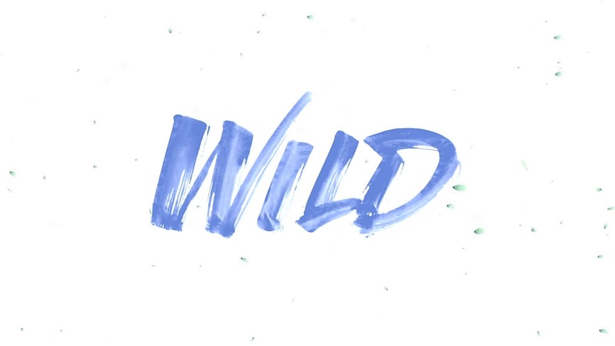 David Diaz - Wild (Cover)