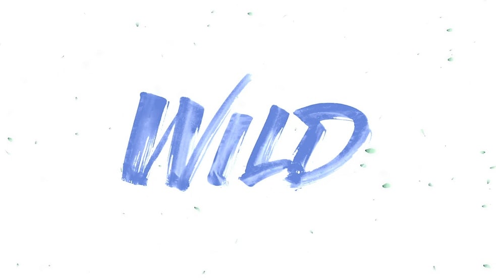 David Diaz - Wild (Cover)