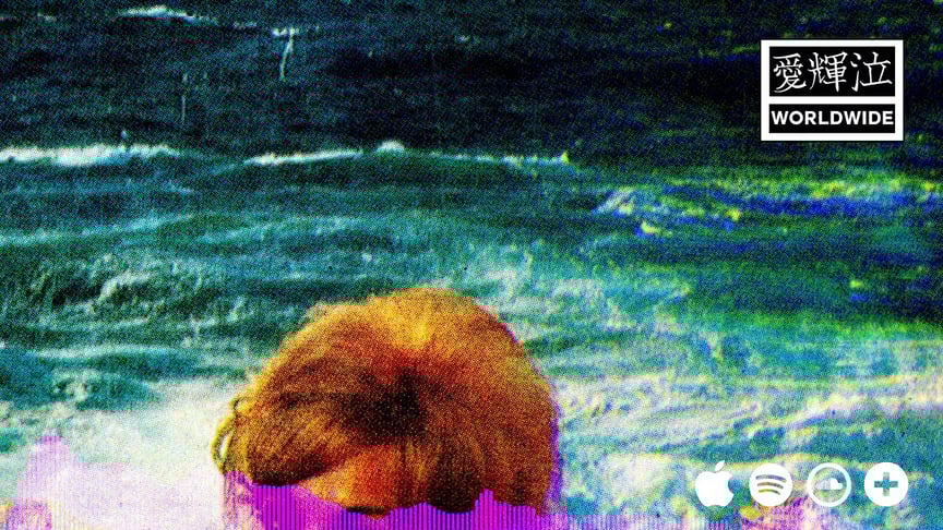 The Hazel Effect • White Gold Trim [Official Audio]