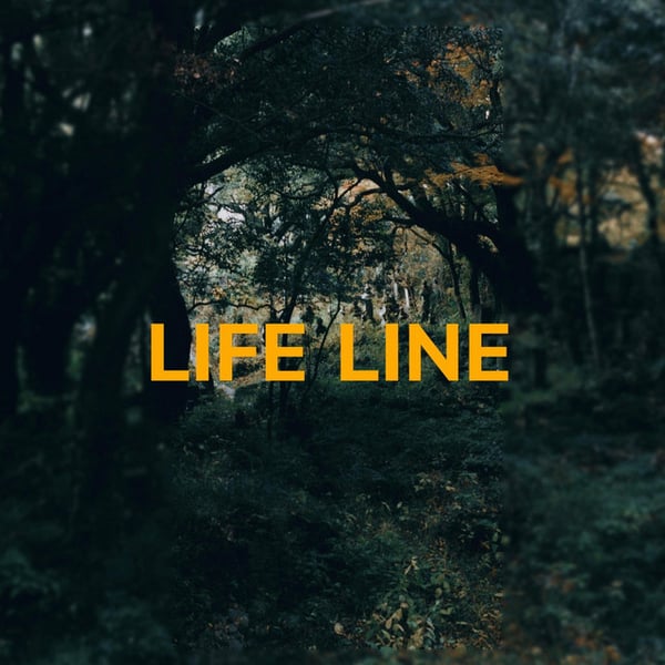 Lifeline image