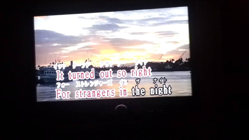 Ally Kerr attempts Strangers In The Night (karaoke)