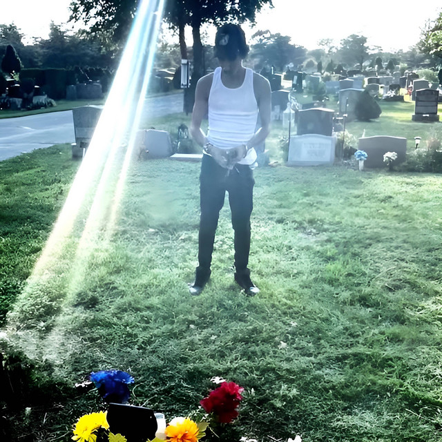 LET'S GET THE DOGS HOME