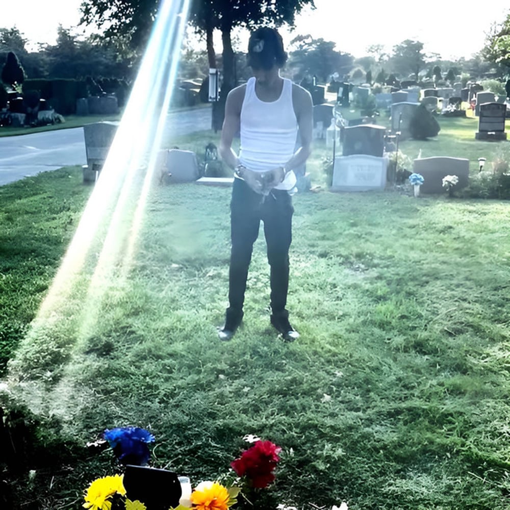 LET'S GET THE DOGS HOME