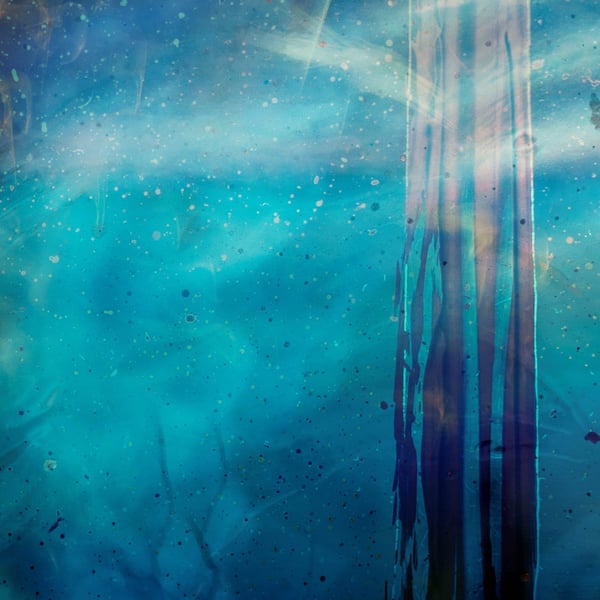 Immersion image
