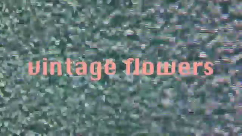 CASTLEBEAT - Vintage Flowers