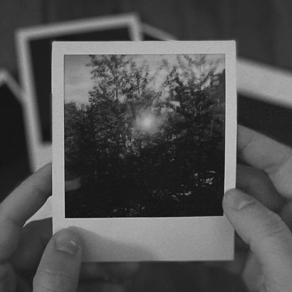 january image