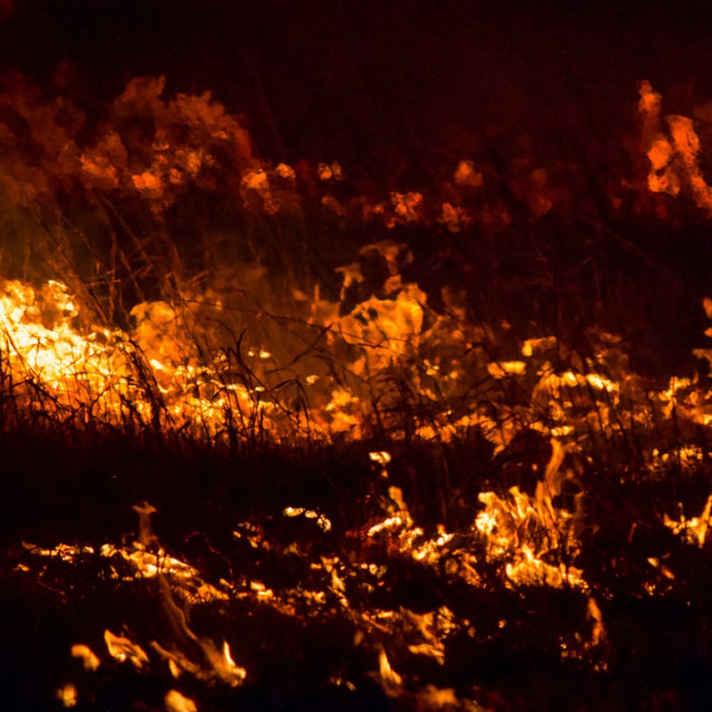 It's Not Working Out