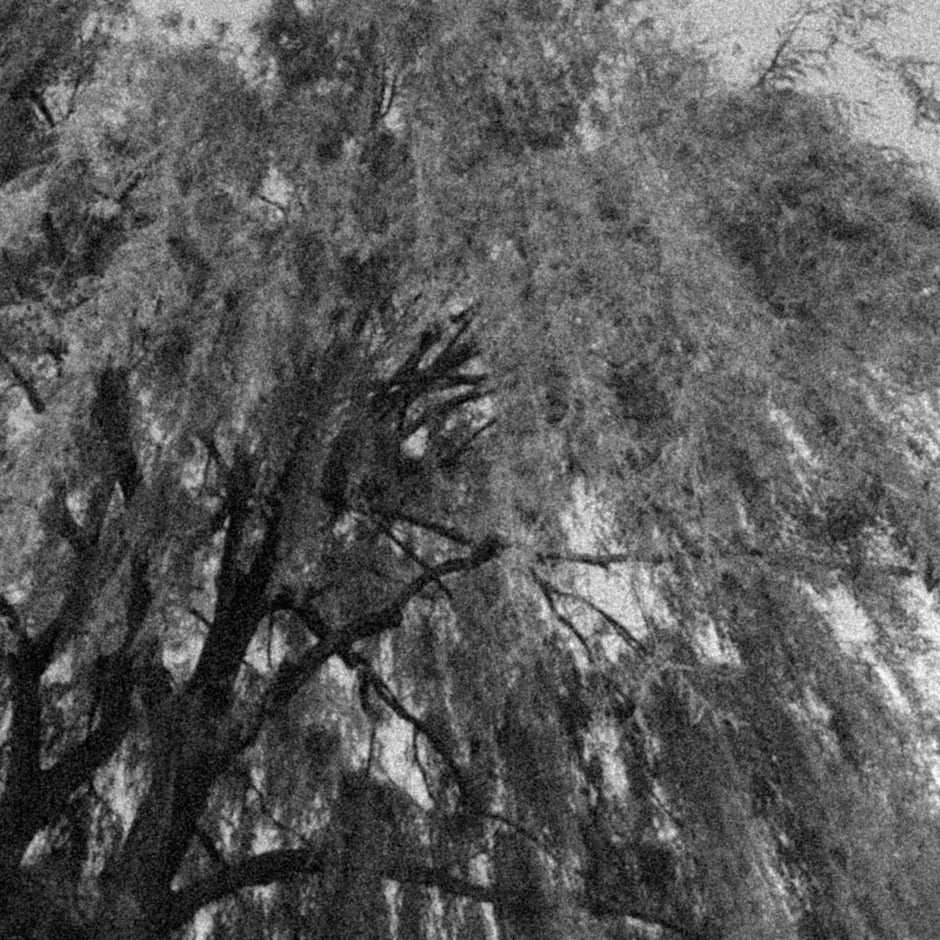 Come thou fount of every blessing