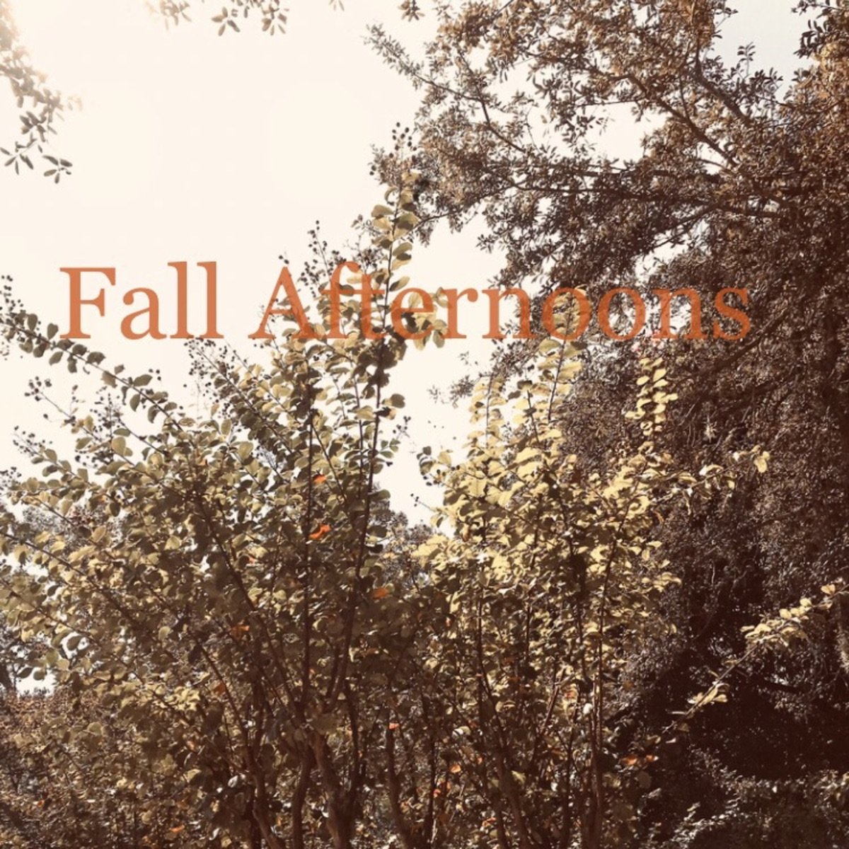 Fall Afternoons