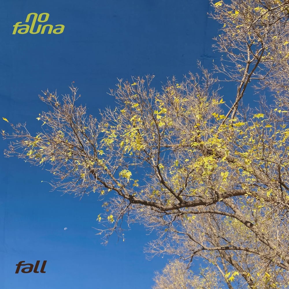 fall