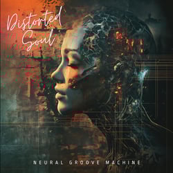 Distorted Soul