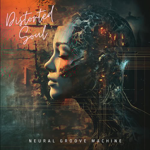 Distorted Soul