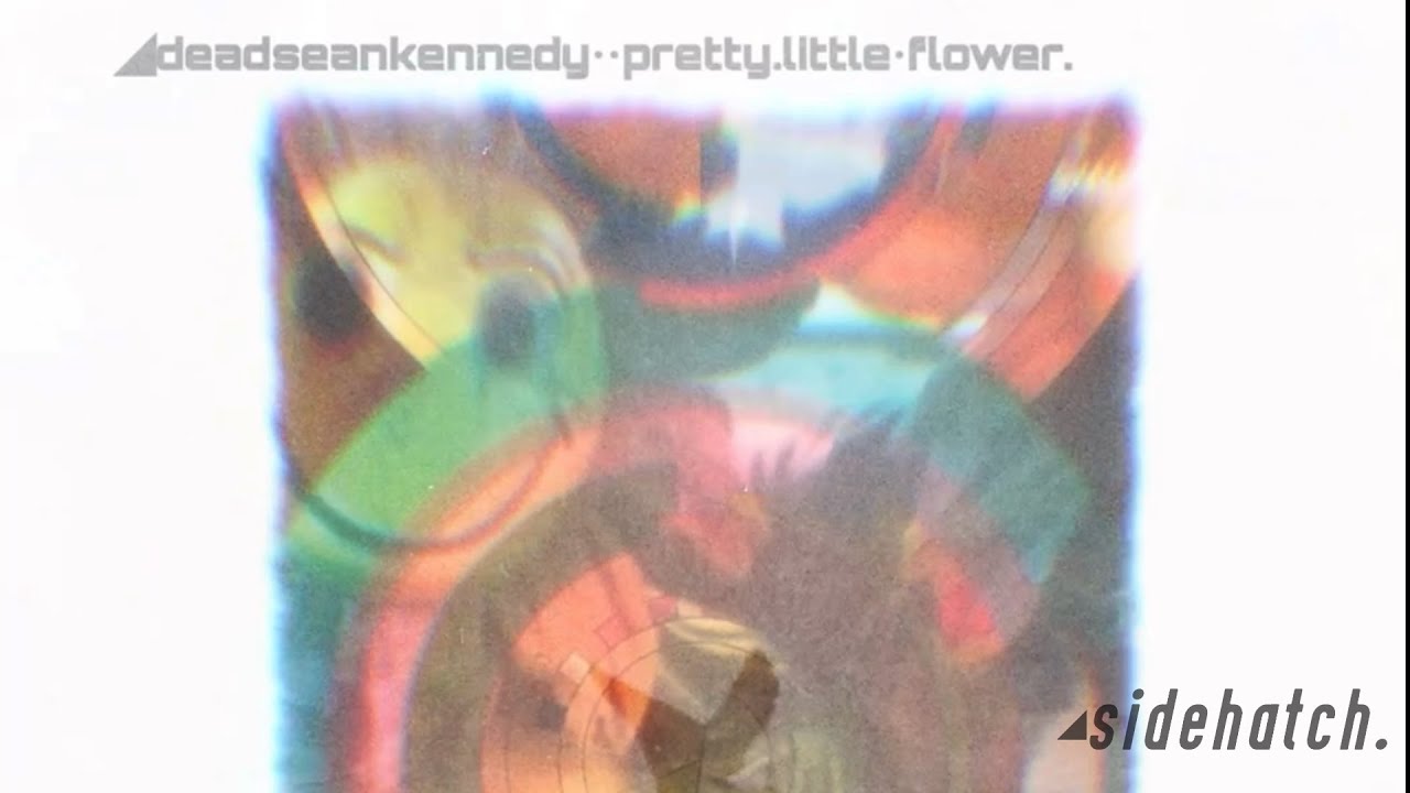 ◢deadseankennedy••pretty little•flower.