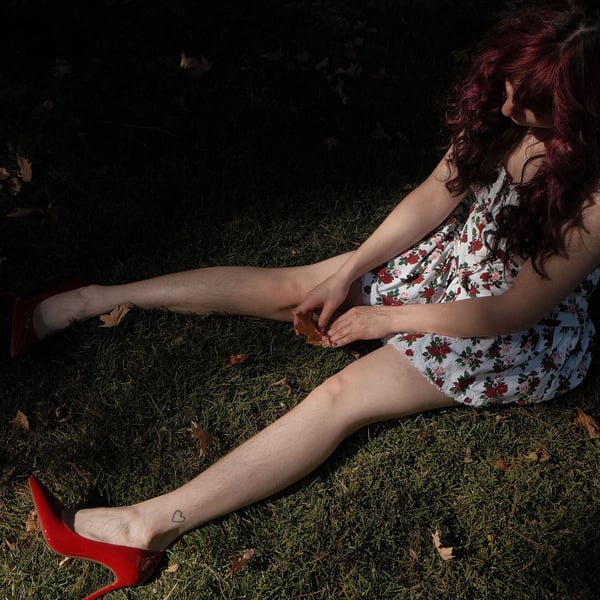 Making Plans for Nigel image