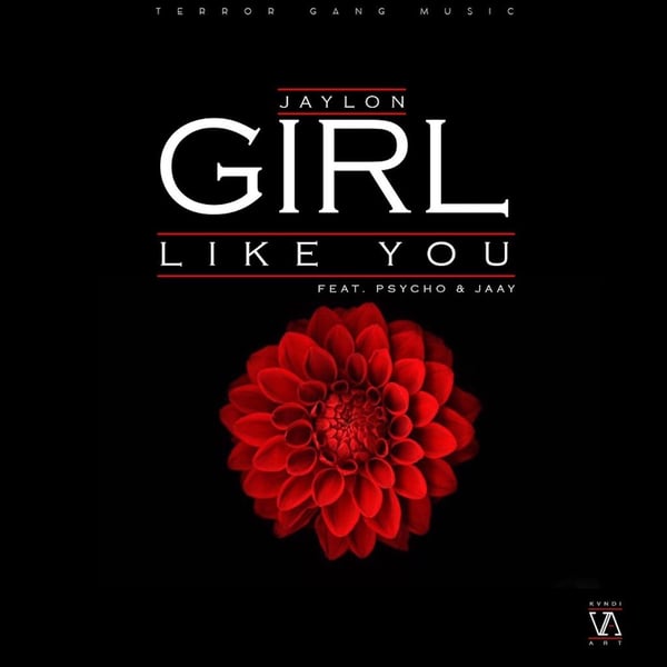 Girl Like You (feat. Jaay & Psycho) image