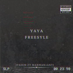 YAYA FREESTYLE (feat. manman2anti)