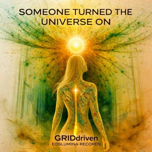 Someone Turned the Universe On