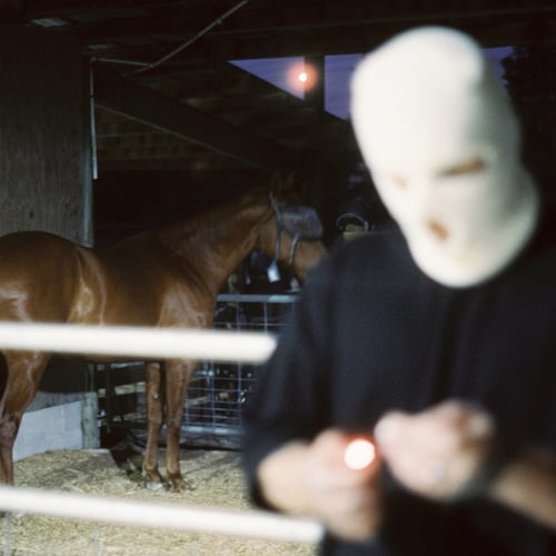 SHOW PONY