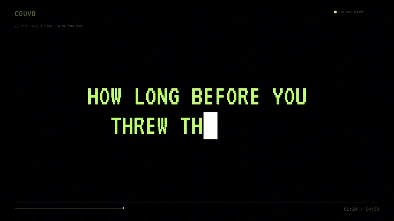 I'M SORRY I DIDN'T GIVE YOU MORE - Couvo (lyric video)