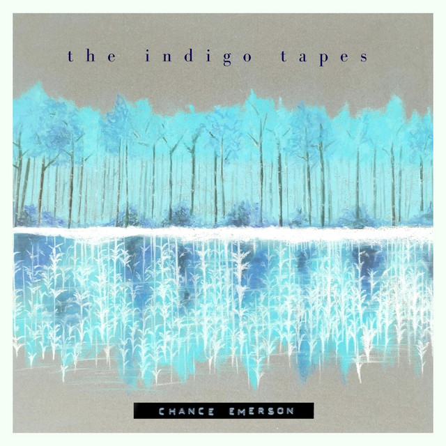 The Indigo Tapes image
