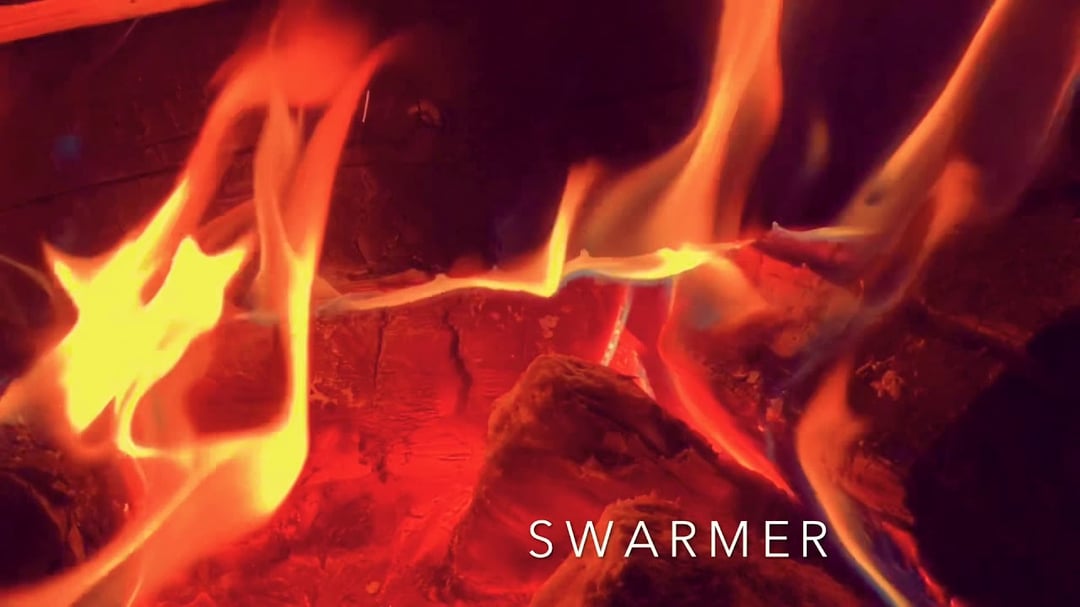 SWARMER - Baptism image