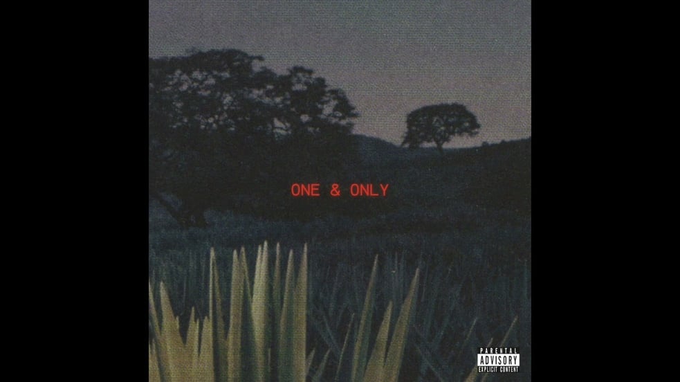 Denys - One & Only (Official Audio)