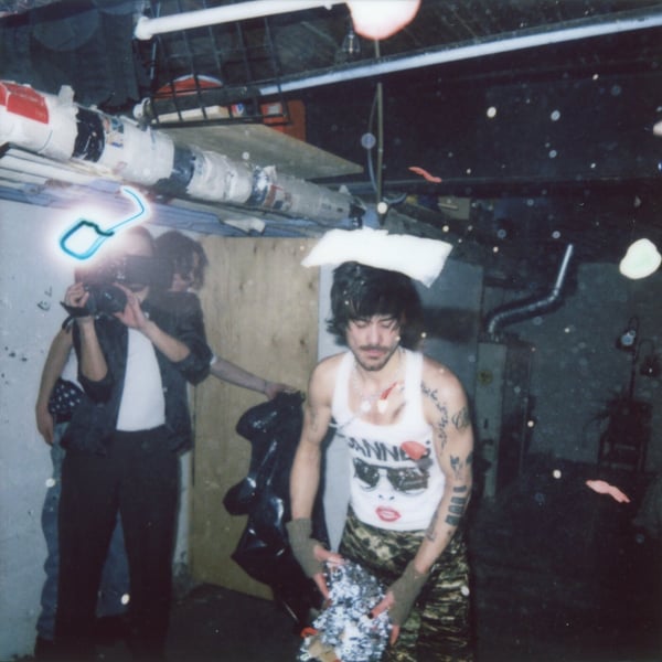 Hiding in Plain Sight image