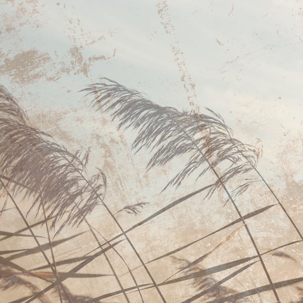 Whispering Wind image