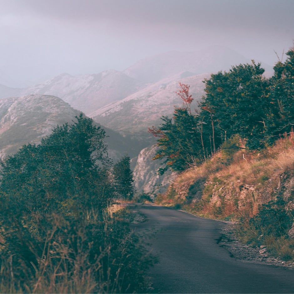Drive