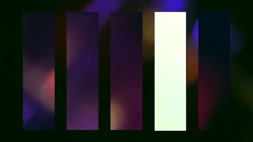 Dear Gravity ●● Mimic (Experience III)