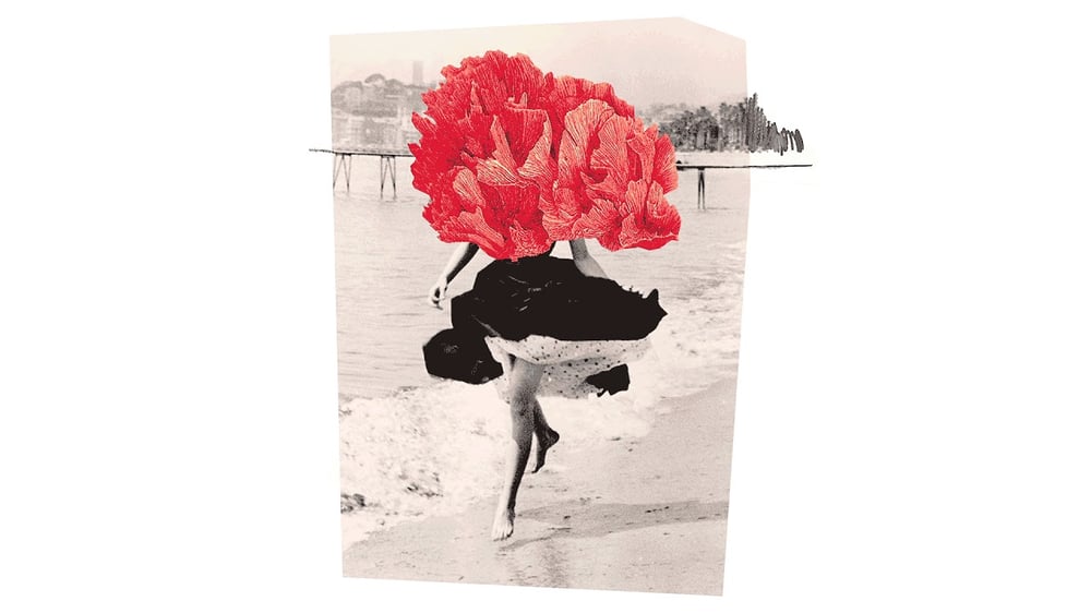 Maria Chiara Argirò Hidden Seas // Nautilus